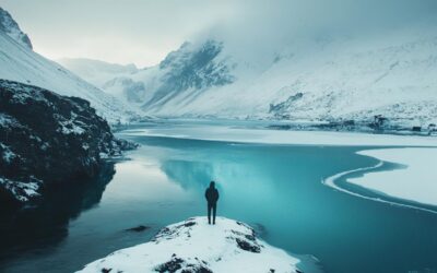 Contact – Polaire Distribution : comment suivre votre commande en temps réel ?